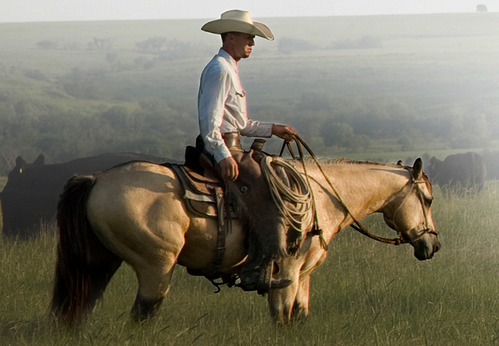 Rancher on horseback near a body of water with cattle grazing in the distance.