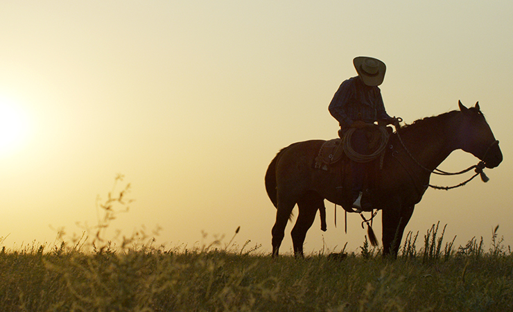 Silhouette of a cowboy on horseback at sunset.