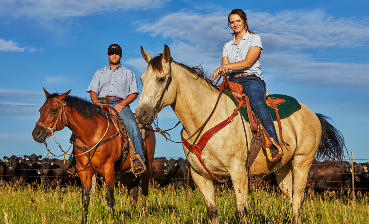 Two riders on horseback in front of a herd of cattle under a blue sky.