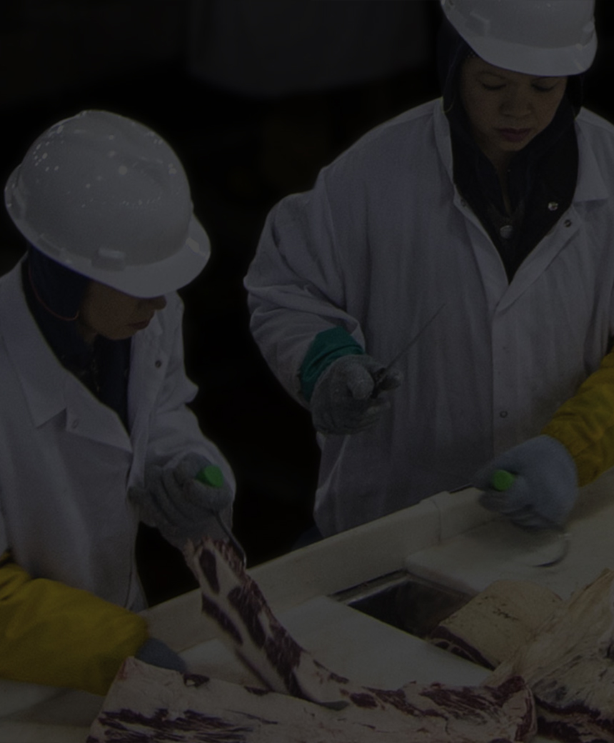 Workers in white coats and hard hats trimming and processing beef cuts along a production line inside a facility.