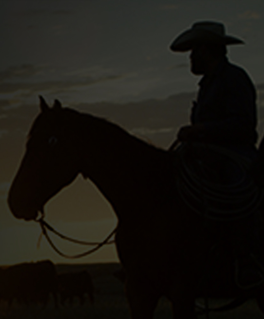 Two riders on horseback herding cattle at sunset.