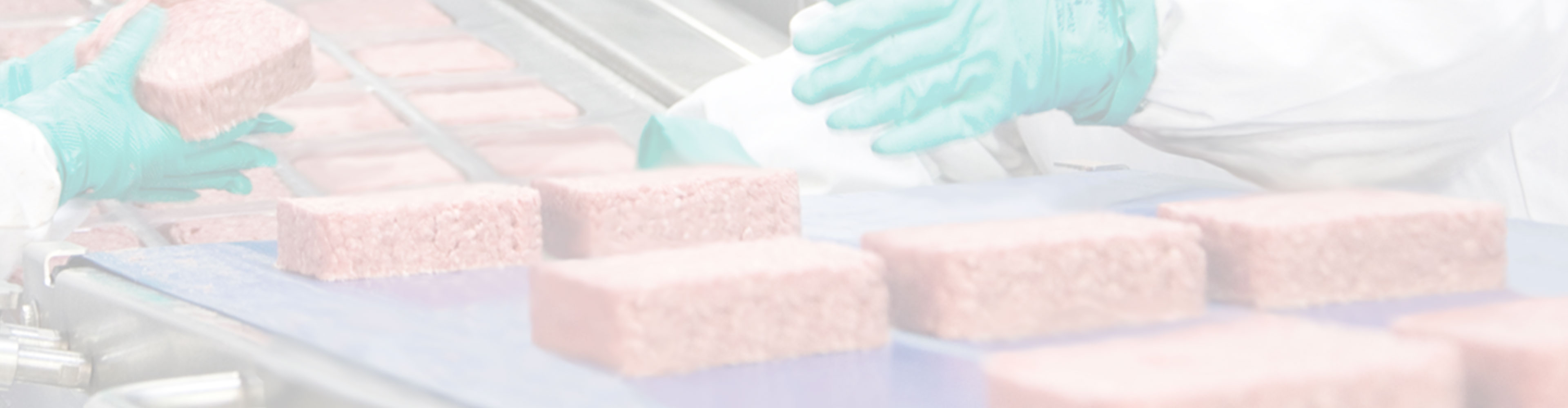 Workers wearing gloves handling square portions of ground beef on a processing line.