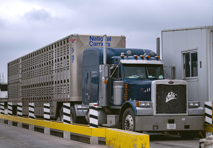 Blue semi-truck with “National Carriers” trailer at a loading area.