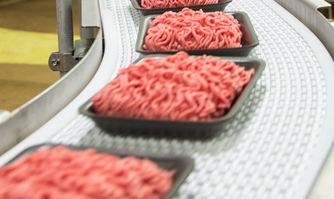 Trays of ground beef moving along a conveyor belt.