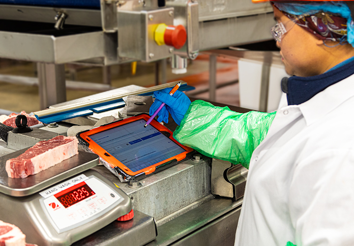 Worker using tablet to record meat processing data.
