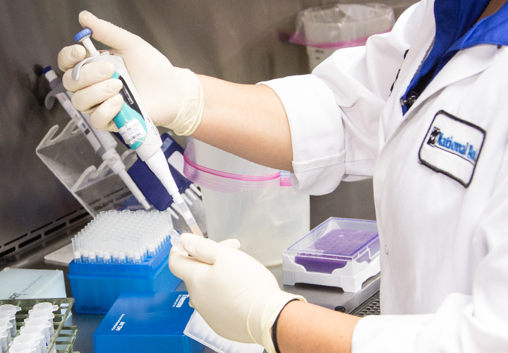 Laboratory worker using a pipette to handle samples in a testing tray.