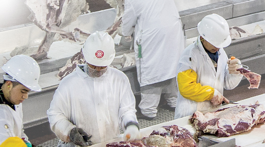 Two workers in white coats and helmets inspecting meat in a processing facility.