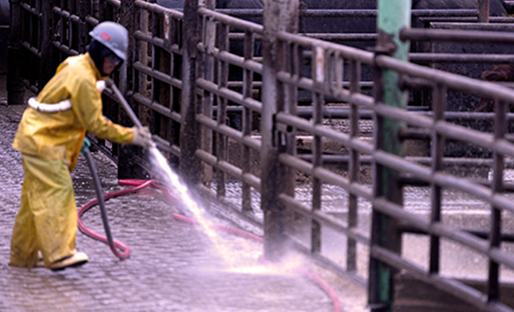Worker in protective clothing spraying down livestock pens.
